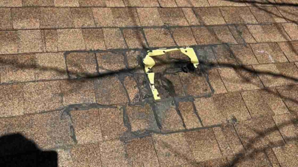 tree damaged shingles on roof found during roof maintenance check