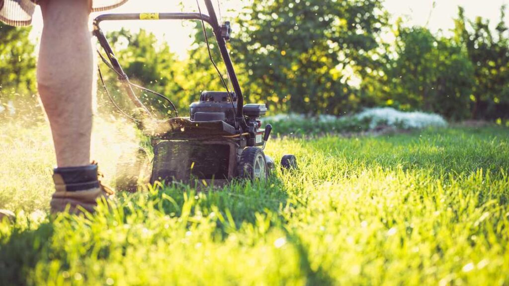 summer home maintenance tasks include mowing lawn and checking home's exterior