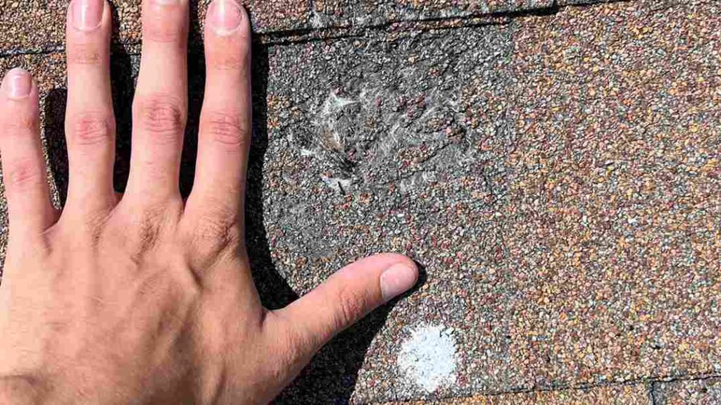 hand next to hail impact mark on shingle found after insurance adjuster said roof doesn't have hail damage