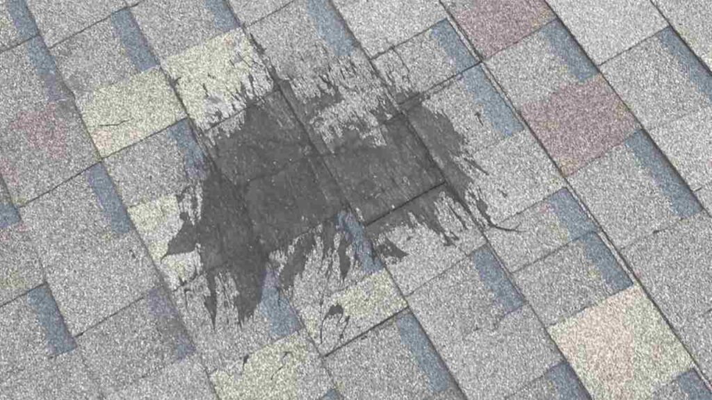 ashpahlt shingle roof with leak sign you might need to call a roofing company