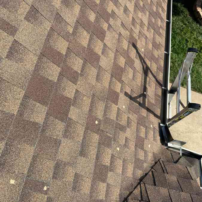 hail damage circled on roof shingle for insurance claim