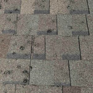 damage to shingles caused by hailstorm in Edmond on September 24, 2024