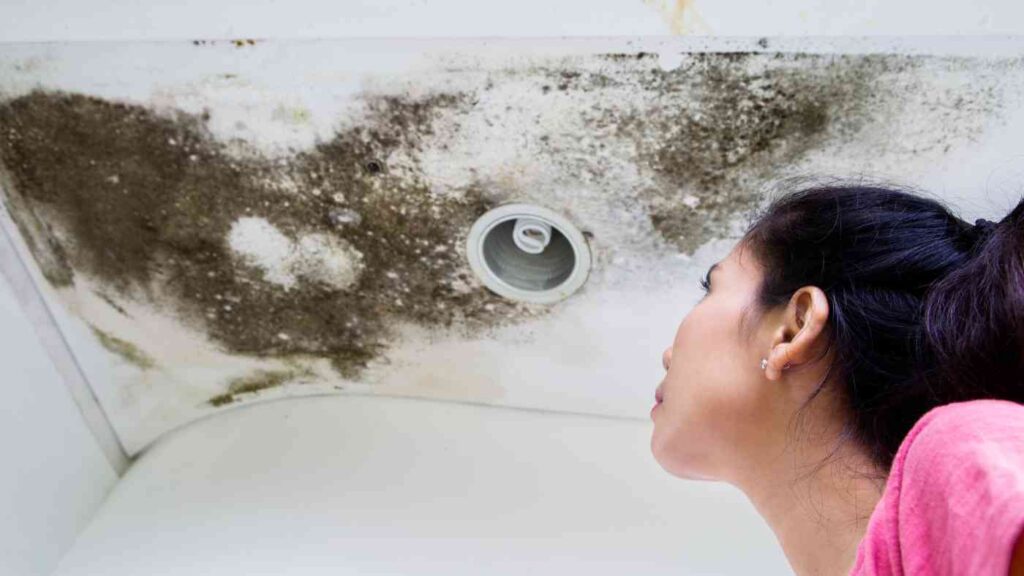 woman looking up at ceiling in home seeing mold growth caused by leaking roof