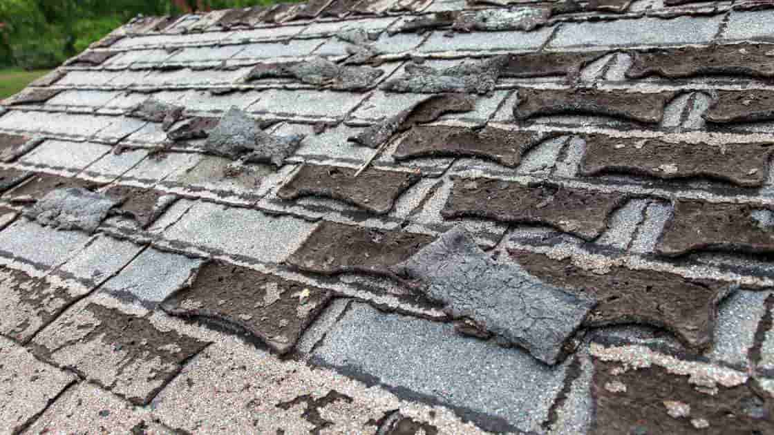 curling shingles are a sign of normal wear and tear and not a sign of storm damage