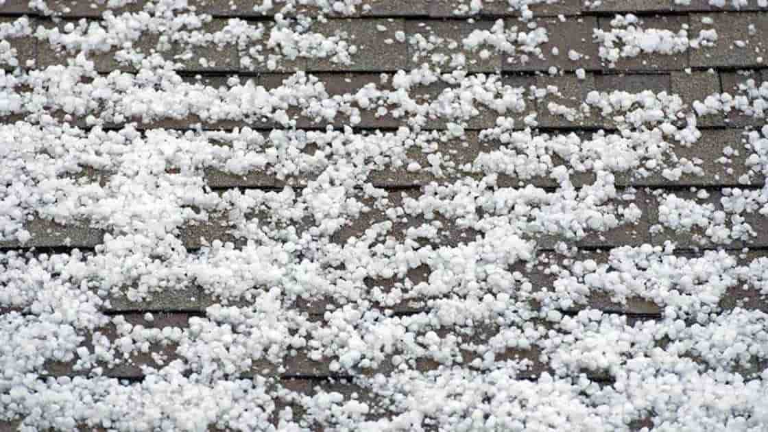 hail size of a pea on top of brown roof