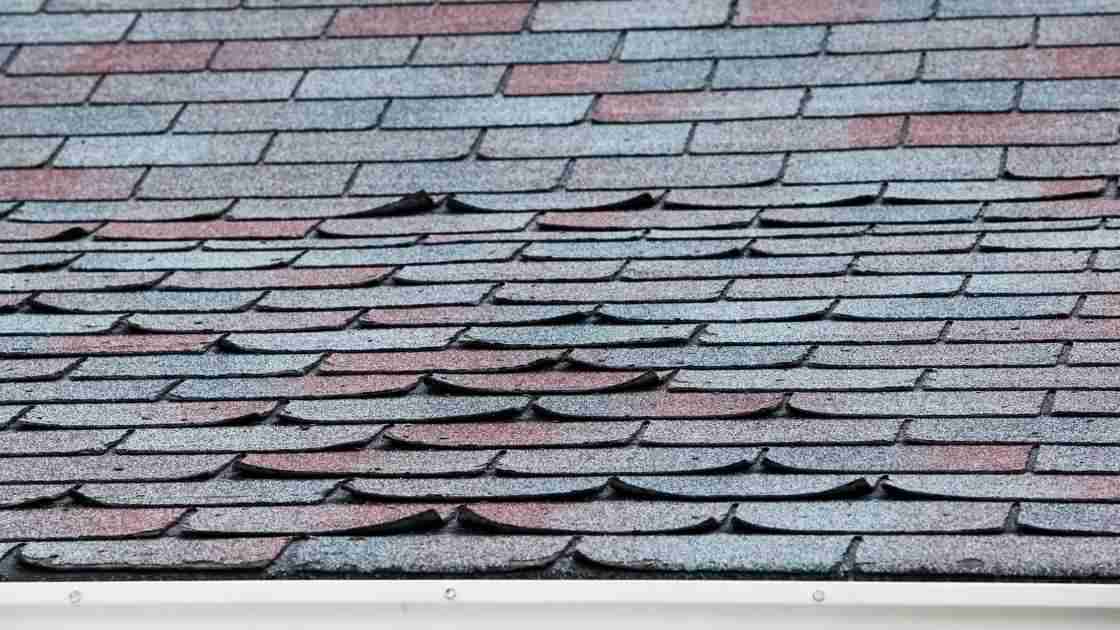 curling shingles from hail damage