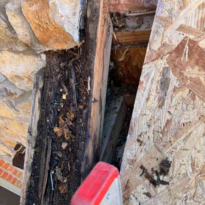 close up of water damage on roof decking after roof leaked for months