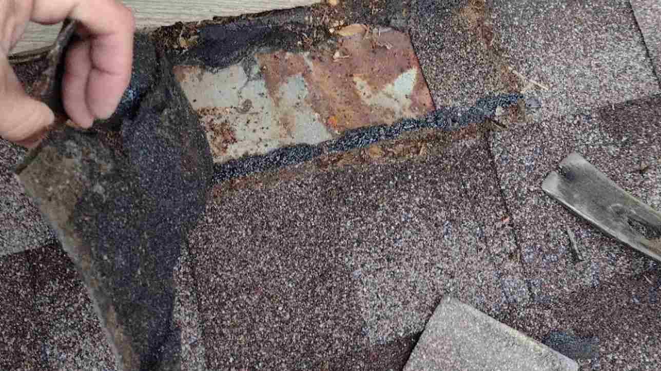 roof inspector showing roof damage underneath shingle caused by temperature fluctuations