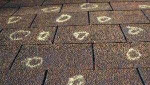 hail hits circled on shingle during hail damage roof inspection