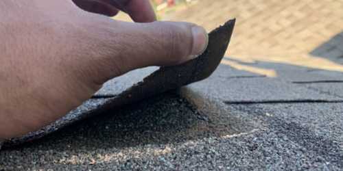 lifted shingle caused by wind damage